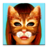 Cat Face 娛樂 App LOGO-APP開箱王