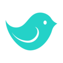 豆瓣阅读-棕眼之谜原著抢先读