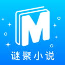 谜聚-小说阅读器