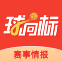球向标-足球比分资讯