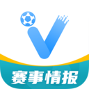 V站