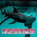 恐怖逃离冒险-泳池里的大鲨鱼