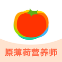 薄荷宝箱