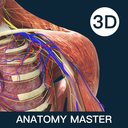 解剖大师-精细好用综合性3D解剖