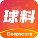 球料网-有球必有料