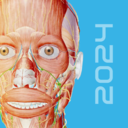 人体解剖 3d-人体解剖学图谱
