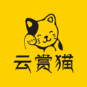 云赏猫