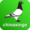 中信网—信鸽信息网