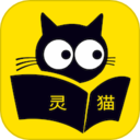 灵猫看看