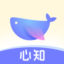 心知