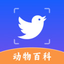 动物世界百科