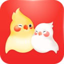 婚前婚后
