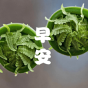 成友早安-智能图片和祝福语