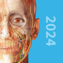 3D人体解剖