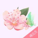 蝶花恋