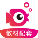 鲤鱼辅导