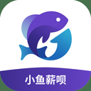 小鱼薪呗-分期花