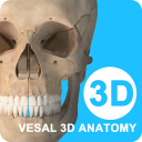 维萨里3D解剖-3D人体解剖图谱