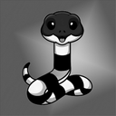 银环蛇-开始交易计划吧