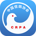 中国信鸽协会-中国信鸽协会