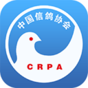 中国信鸽协会-中国信鸽协会