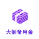 大额备用金