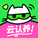 附近有喵-流浪猫爱心送养平台