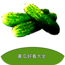 黄瓜好看大全-免费小说