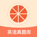 西柚考研-真题解析&翻译批改