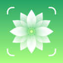 花草志
