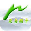 茶寿昭平