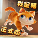 猫猫日记-奶奶的贴心小猫