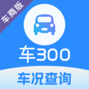 车300专业版