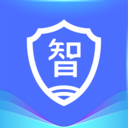 智网
