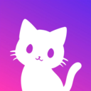 小红猫 -宠物AI高奢写真