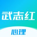 武志红心理-心理咨询
