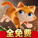 我是大橘猫