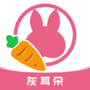 灰耳朵陪宠