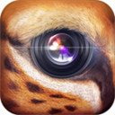 野兽相机 攝影 App LOGO-APP開箱王