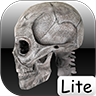 Human Bones lite LOGO-APP點子