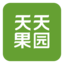 天天果园