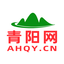 青阳网
