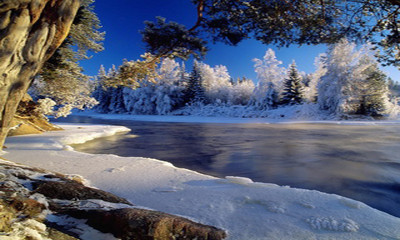 美丽的雪景