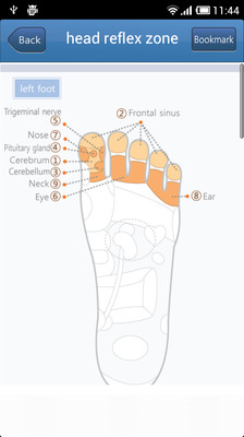 【免費醫療App】Foot acupressure-APP點子