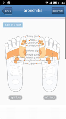 【免費醫療App】Foot acupressure-APP點子