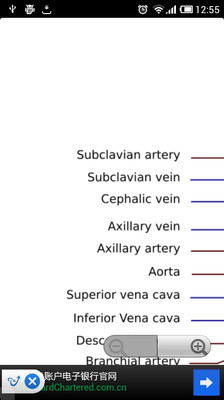 【免費醫療App】Human Anatomy-APP點子