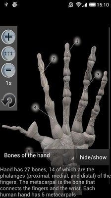 【免費醫療App】Human Bones lite-APP點子