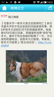 【免費新聞App】微博新闻-APP點子