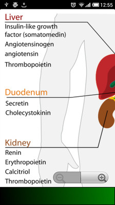 【免費醫療App】Human Anatomy-APP點子