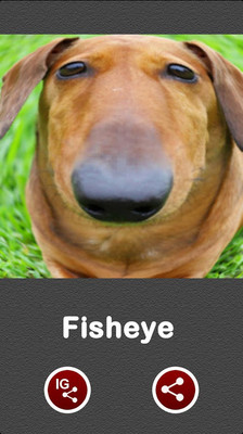 【免費娛樂App】Fisheye-APP點子